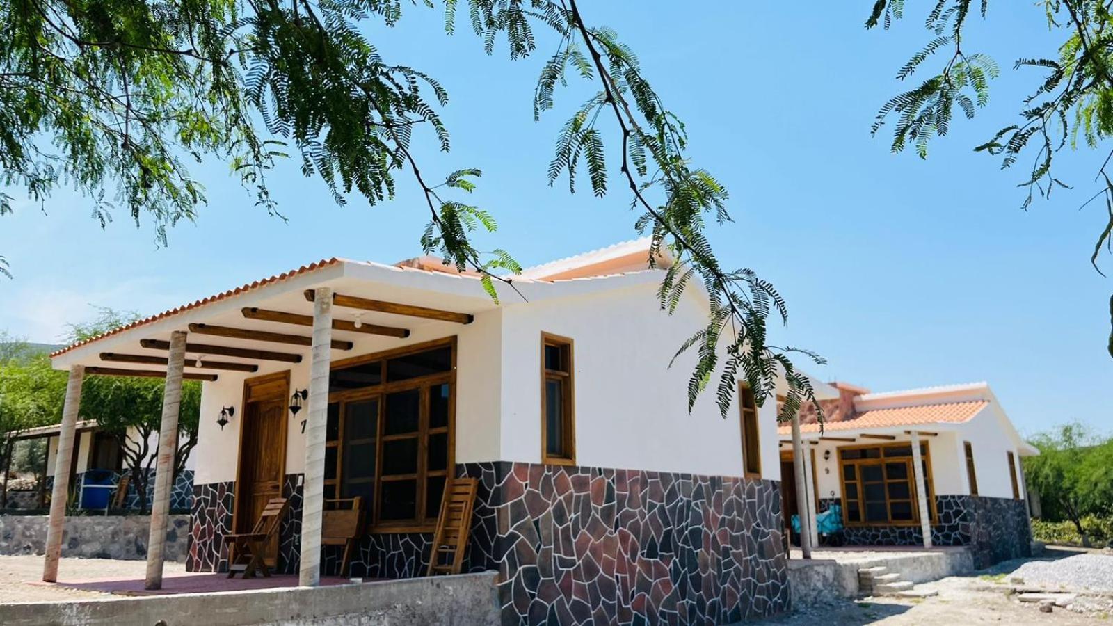 Cabanas Los Olivos Ixmiquilpan Zewnętrze zdjęcie