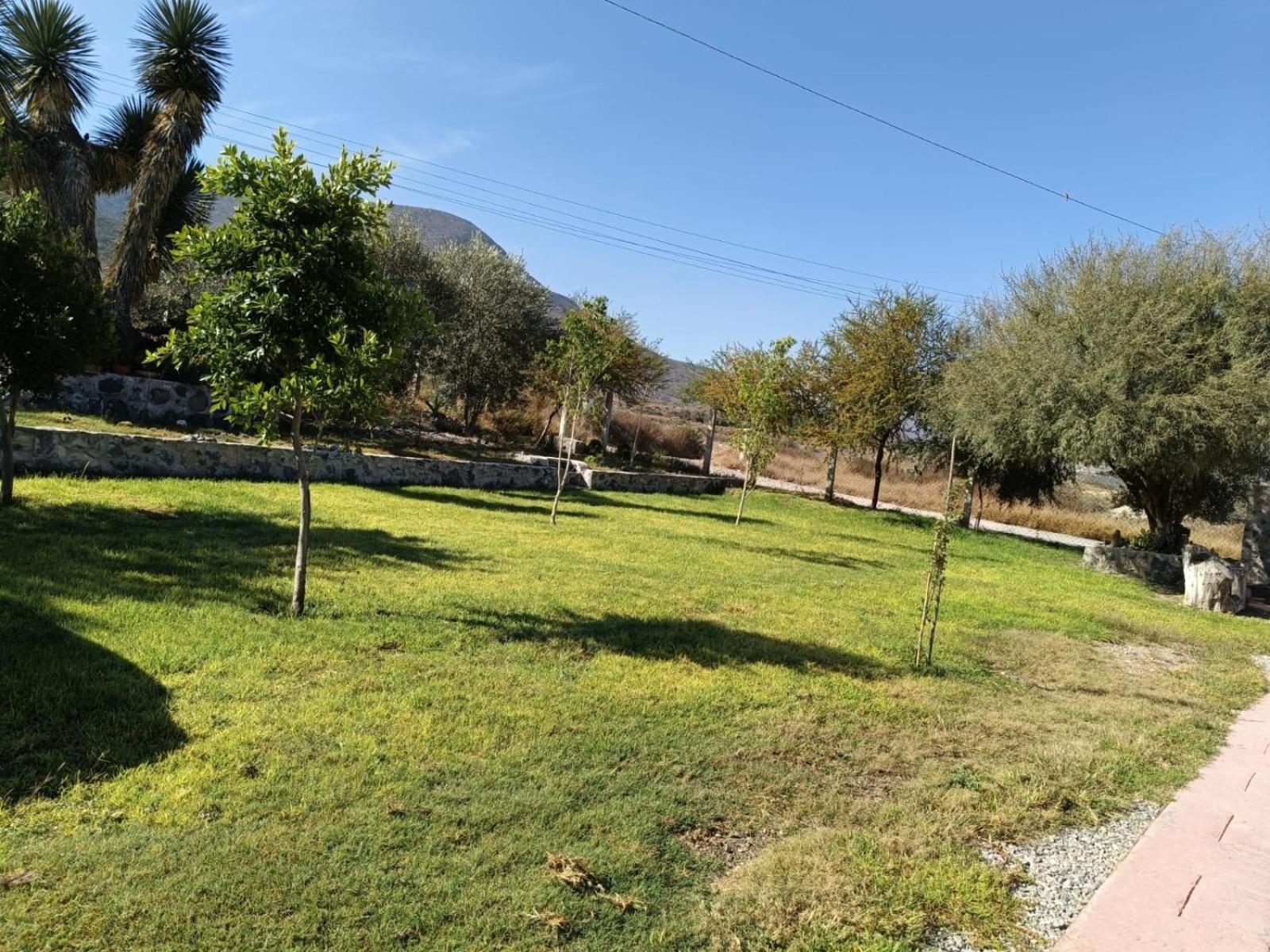 Cabanas Los Olivos Ixmiquilpan Zewnętrze zdjęcie