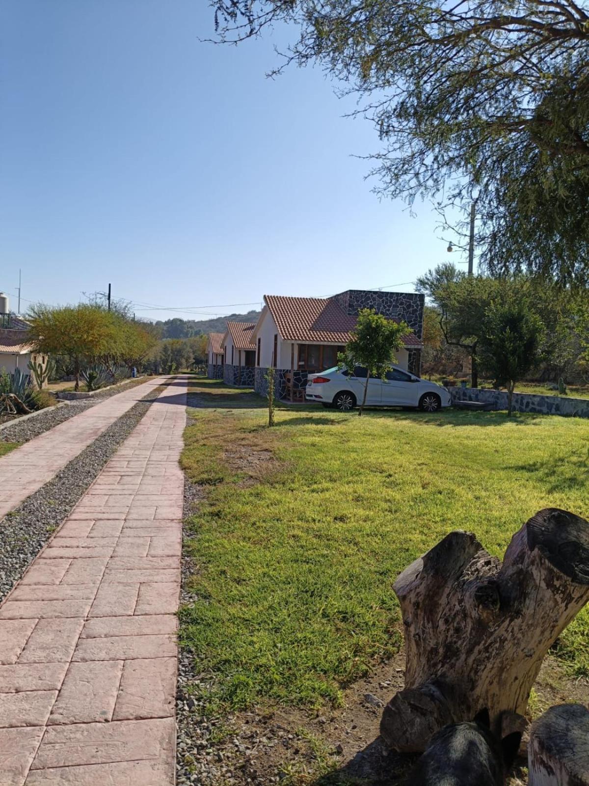 Cabanas Los Olivos Ixmiquilpan Zewnętrze zdjęcie