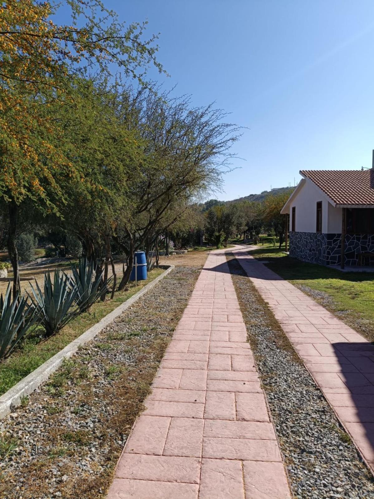 Cabanas Los Olivos Ixmiquilpan Zewnętrze zdjęcie