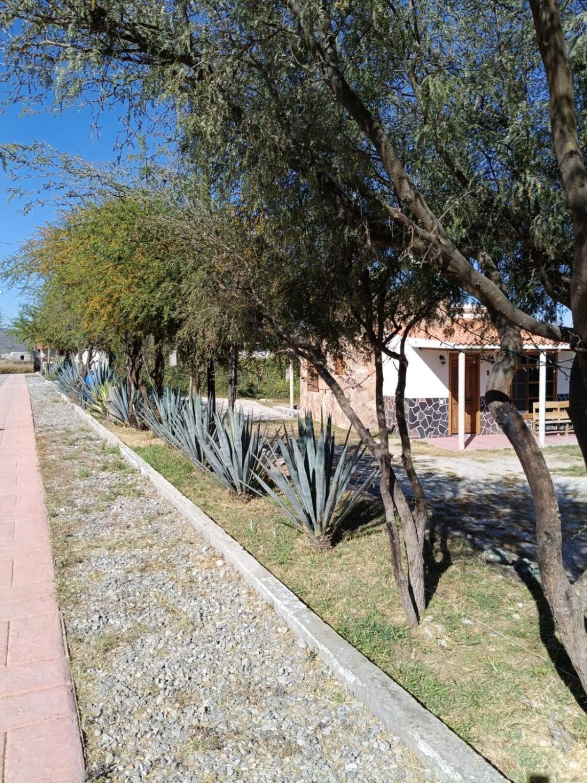 Cabanas Los Olivos Ixmiquilpan Zewnętrze zdjęcie